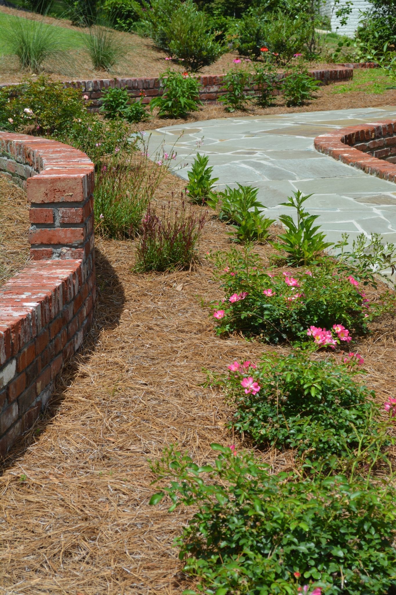 landscape for home on Hay Hill Services