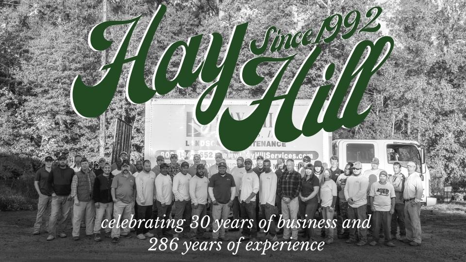 Hay Hill 30 years